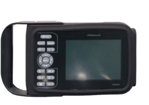 Z10 VET